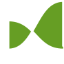 Spline-Icon